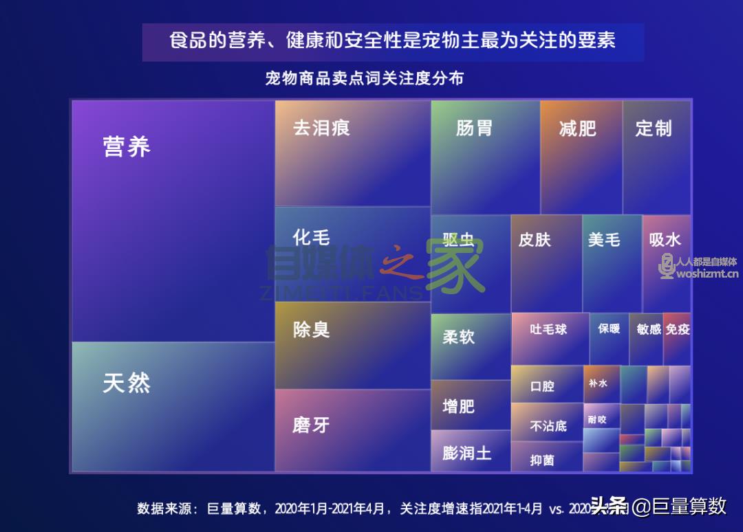 “萌宠经济”大流行，铲屎官们快来看看吧
