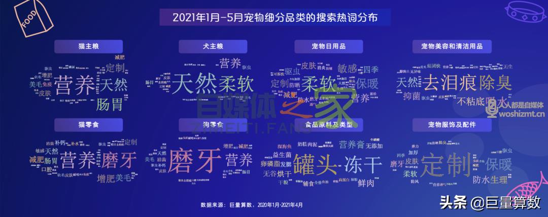 “萌宠经济”大流行，铲屎官们快来看看吧