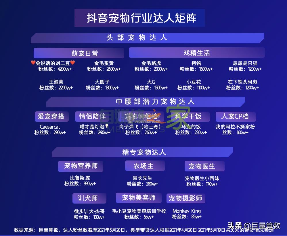 “萌宠经济”大流行，铲屎官们快来看看吧