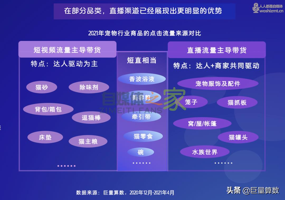 “萌宠经济”大流行，铲屎官们快来看看吧