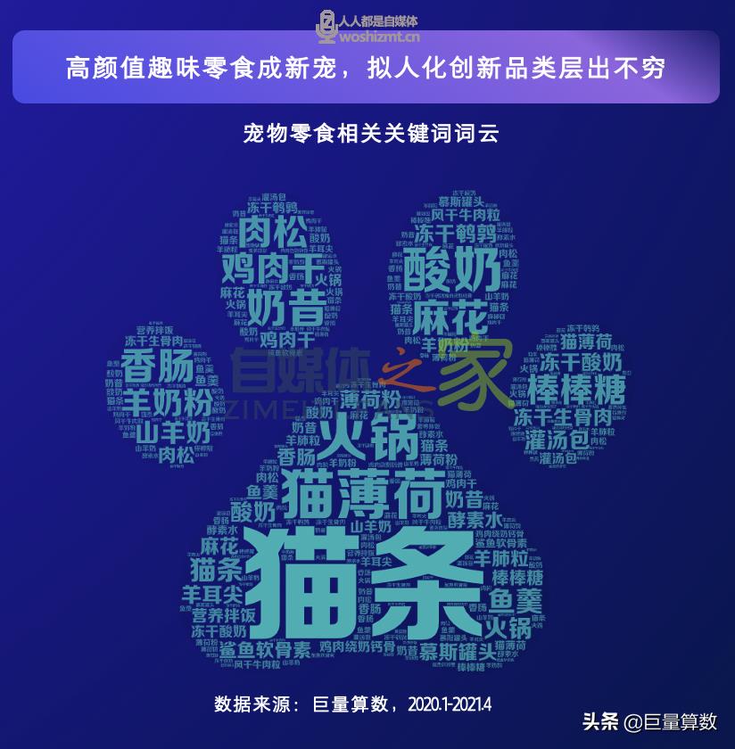 “萌宠经济”大流行，铲屎官们快来看看吧