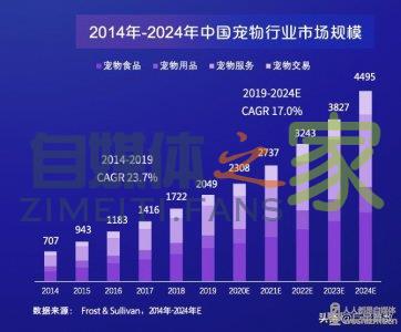 2021抖音电商宠物经济洞察报告-自媒体之家