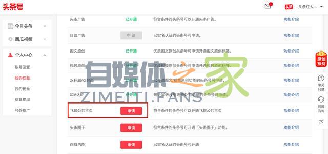 头条号平台上线「飞聊公共主页」功能