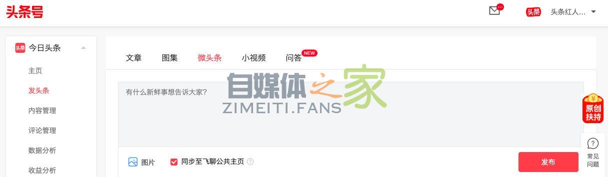 头条号平台上线「飞聊公共主页」功能