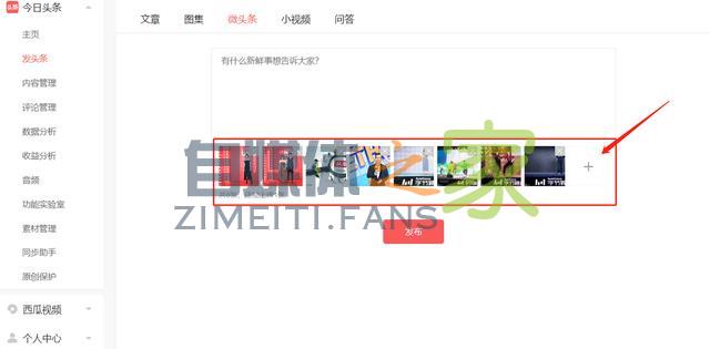 通过头条号后台发布微头条,可使用「免费正版图片」 20220327041947-623fe5e3ee295.jpg