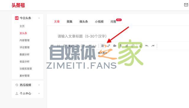免费正版图片新增「精选专题」功能