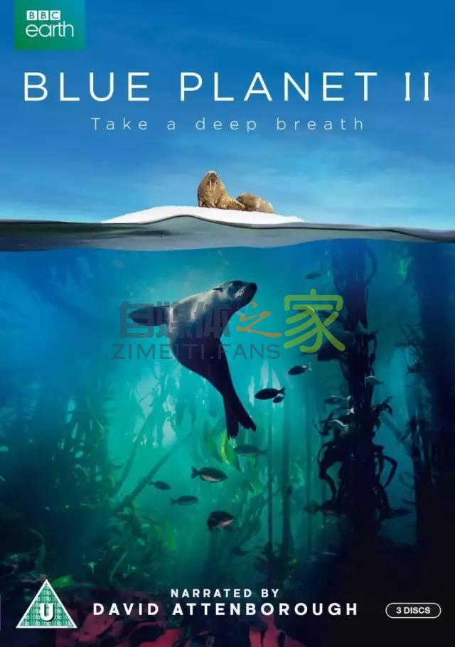 “好内容”却没有高推荐怎么办？教你3个万用标题公式收割流量