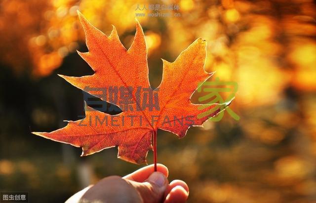 文章推荐量太低怎么办？大神用了1个基础技巧，流量暴涨6000万