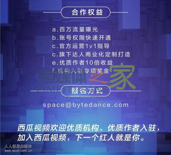 蛋壳计划|西瓜视频招募百万IP达人孵化合伙人 20220327042140-623fe6542e77d.jpg