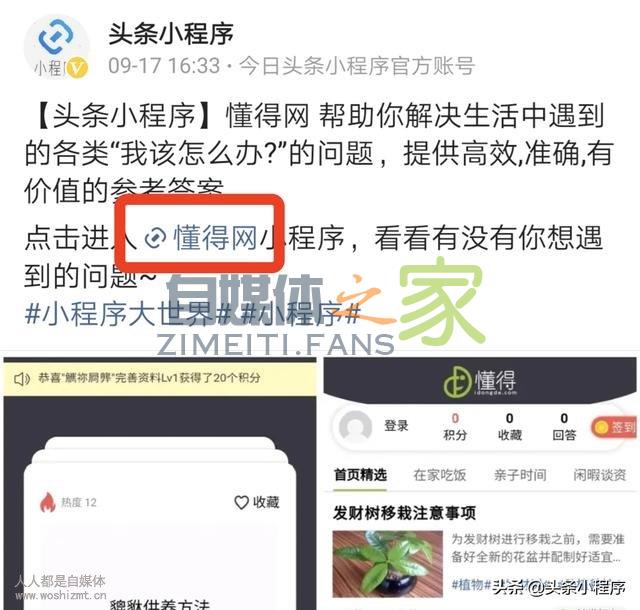 在「头条app」内发微头条，如何带上小程序？