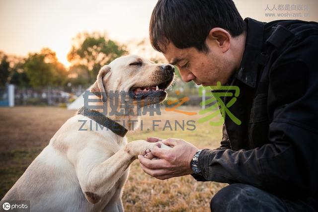 什么样的标题更受机器青睐?他用了1个样式,推荐量暴涨814万! 20220327042154-623fe6623ccbe.jpg