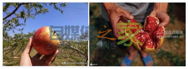 种草文如何避免标题党?这几种类型会被打压,案例解读帮你避坑 20220327042227-623fe683a7810.jpg