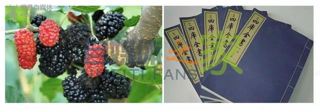 种草文如何避免标题党?这几种类型会被打压,案例解读帮你避坑 20220327042227-623fe683cfb2f.jpg