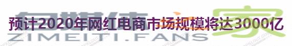 建议收藏 | 2020,关于网红/带货的10个趋势预测 20220327042258-623fe6a2ed2e2.jpg