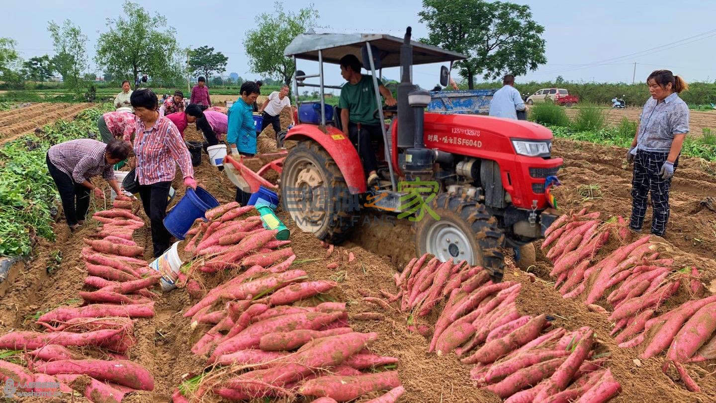 违规行为盘点 | 电商直播间被打压？可能踩中了这些坑