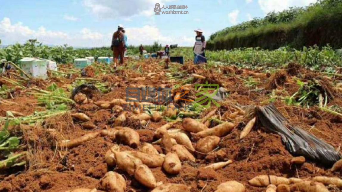 违规行为盘点 | 电商直播间被打压？可能踩中了这些坑