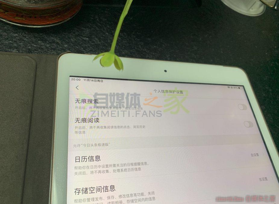 今天头条极速版设置