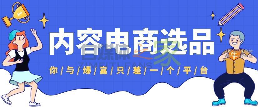 成功的选品是提高内容电商收益的关键
