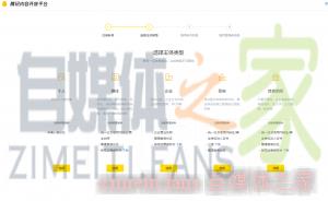 自媒体主体类型