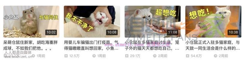 这5个爆款封面的秘密,做自媒体的你还不知道吗? 20220329055834-6242a00aa0b8f.jpg