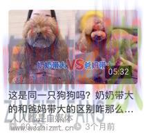 这5个爆款封面的秘密,做自媒体的你还不知道吗? 20220329055835-6242a00b2ff7b.jpg