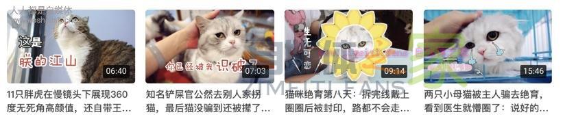 这5个爆款封面的秘密,做自媒体的你还不知道吗? 20220329055835-6242a00b69e74.jpg