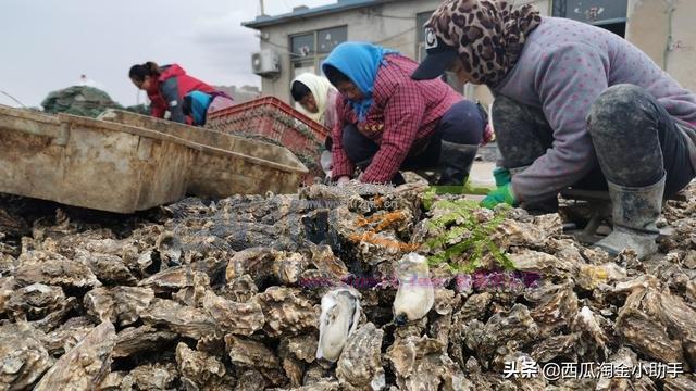 超有效的带货直播封面标题优化方法,快转发给身边的人! 20220329055911-6242a02f2956c.jpg