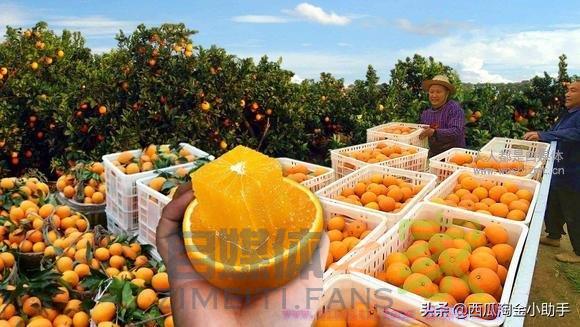 超有效的带货直播封面标题优化方法,快转发给身边的人! 20220329055911-6242a02f6ae9f.jpg