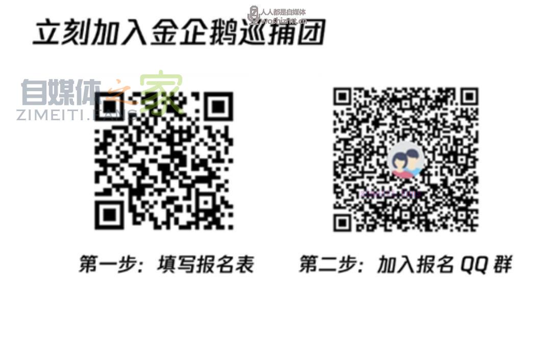金企鹅巡捕团招新啦!十一月两大运营上线,QB福利等你来拿 20220331035400-624525d8524be.jpg