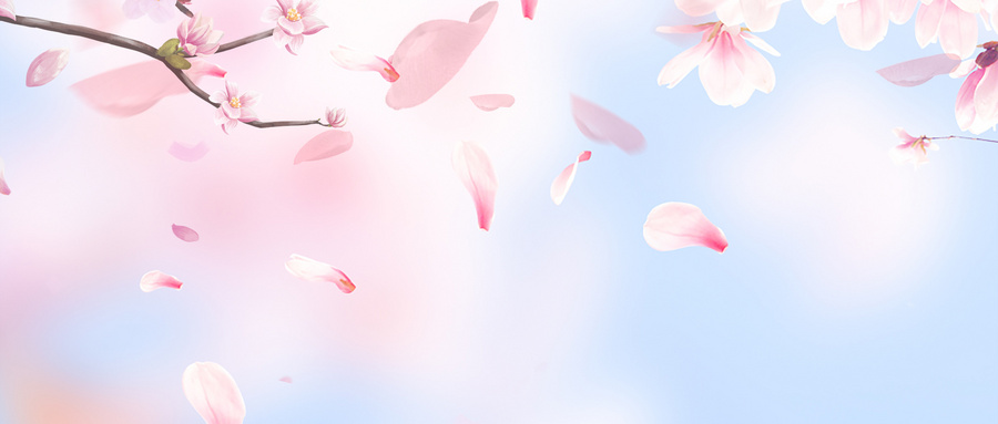 春天的樱花背景图-自媒体之家