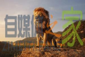 剧情电影《狮子王》解说文案/片源下载 20220501061308-626e24f482d7d.jpg