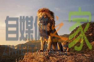剧情电影《狮子王》解说文案/片源下载-自媒体之家