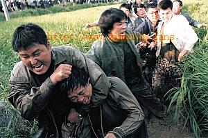 犯罪电影《杀人回忆》解说文案/片源下载-自媒体之家