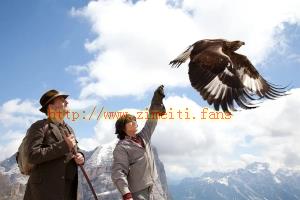 剧情电影《追鹰日记》解说文案/片源下载 20220610053244-62a2d77ceaac6.jpg