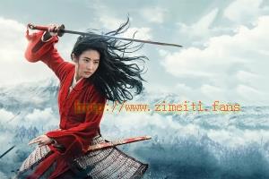 动作电影《花木兰》解说文案/片源下载 20220610053654-62a2d876261c9.jpg