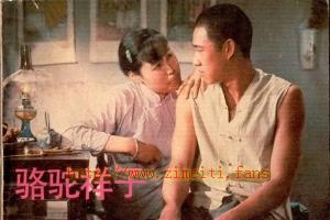 剧情电影《骆驼祥子》解说文案/片源下载 20220620080521-62b02a41a6226.jpg