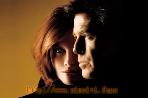 犯罪电影《天罗地网》解说文案/片源下载 20220715030803-62d0da13c054f.jpg