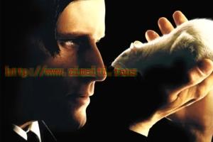 惊悚电影《驭鼠怪人》解说文案/片源下载 20220719044548-62d636fc015d2.jpg