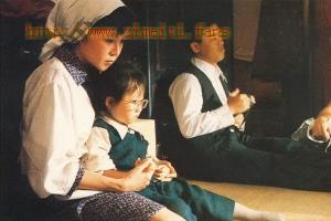 剧情电影《我这样过了一生》解说文案/片源下载 20220814233338-62f9865288e2b.jpg