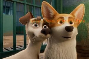 动漫电影《女王的柯基》解说文案/片源下载 20220817233158-62fd7a6e1250b.jpg