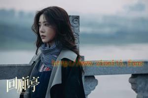 电视剧《回廊亭》12集电视剧解说文案/片源下载(完结) 20220824000307-63056abb06067.jpg