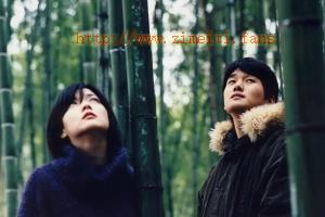 剧情电影《春逝》解说文案/片源下载 20220924014041-632e60196ec27.jpg