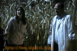 惊悚电影《逃出玉米地》解说文案/片源下载 20220927095631-6332c8cfe7d55.jpg