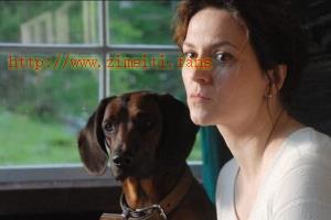 科幻电影《隐墙》解说文案/片源下载 20221006004101-633e241d71edd.jpg