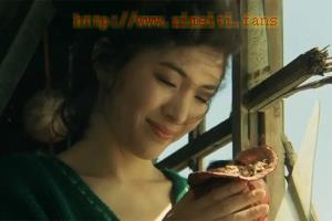 剧情电影《火宅之人》解说文案/片源下载 20221014120919-6349516f68978.jpg