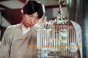 喜剧电影《少爷的磨难》解说文案/片源下载 20221014120922-634951722faee.jpg