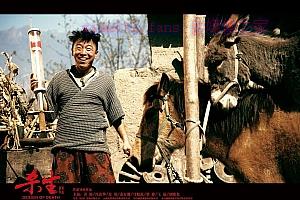 剧情电影《杀生》解说文案/剧情详述/解说教程/片源下载-自媒体之家
