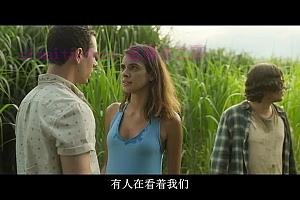 恐怖电影《高草丛中》解说文案/剧情详述/解说教程/片源下载-自媒体之家