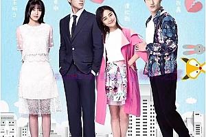电视剧《狐狸的夏天第二季》23集电视剧解说文案/剧情详述/解说教程/片源下载（完结）-自媒体之家