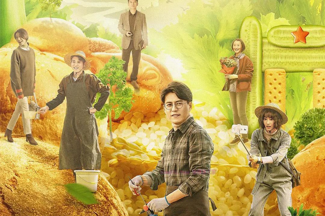 电视剧《温暖的味道》41集电视剧解说文案/剧情详述/解说教程-自媒体之家